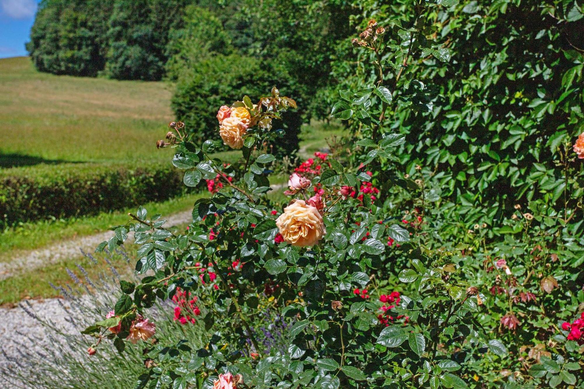 Gutshof An Der Alten Linde *